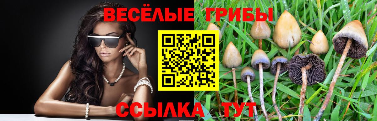 Галлюциногенные грибы мицелий Ликино-Дулёво