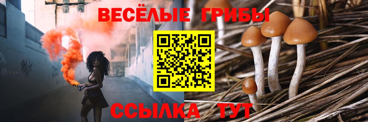 Галлюциногенные грибы мицелий  хочу   Галлюциногенные грибы GOLDEN TEACHER  Ликино-Дулёво  Вход с VPN 